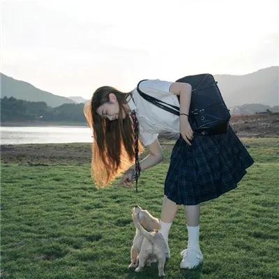 蛇案